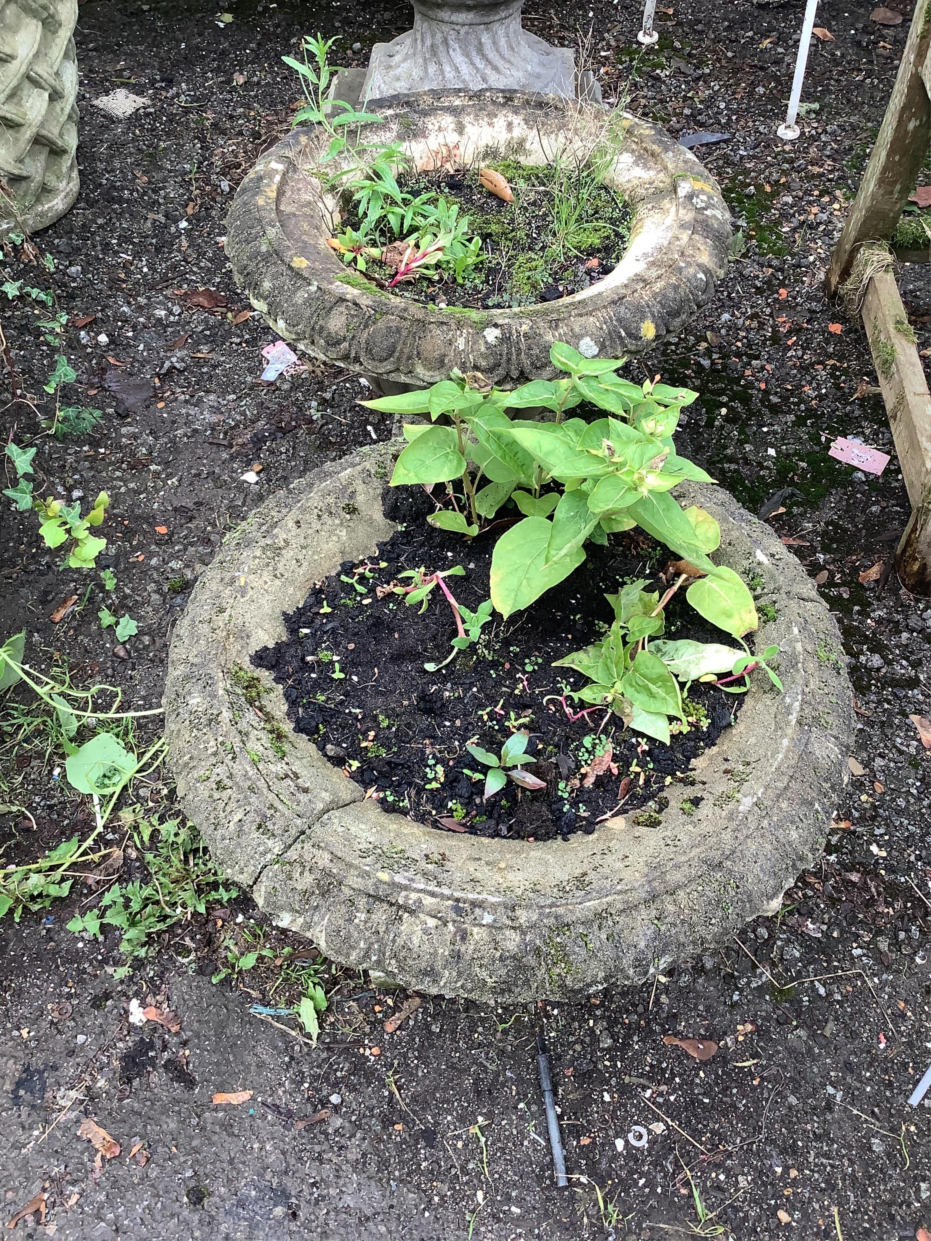 A pair of reconstituted stone campana garden urns, diameter 50cm, height 40cm. Condition - poor